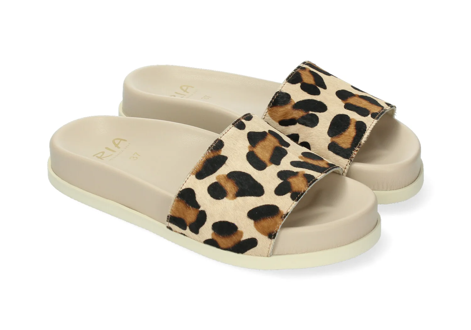 Ria Menorca 30001 slika 4